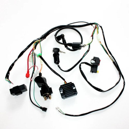 Basic Wire Wiring Harness Loom 150cc 250cc Engine Pit Quad Dirt Bike ATV Buggy