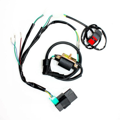 Kick Start Engine Wire Wiring Harness Loom Kit Set 150cc 160cc Pit Pro Dirt Bike