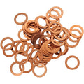 Bolt Drain Plug/Banjo Bolt Washer Assortment | CPRM10.15-50