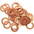 Bolt Drain Plug/Banjo Bolt Washer Assortment | CPRM14.22-50