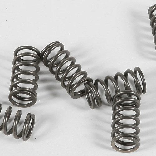 Ebc Csk Clutch Spring Kit | CSK139