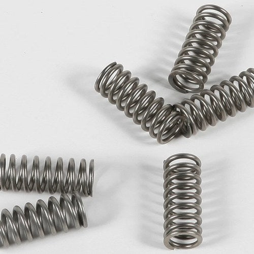 Ebc Csk Clutch Spring Kit | CSK178