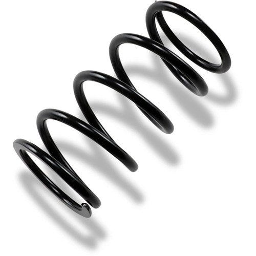 Epi Primary Drive Clutch Spring, Black | PS-4