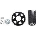 Vortex Wss Warranty Chain and Sprocket Kit | CK4212