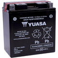 Yuasa Fresh Pack High Performance Maintenance-Free Agm Battery (YTX20CH-BS)