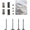 Wiseco Valve Kit | SVKB1336