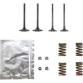 Wiseco Valve Kit | SVKB4341