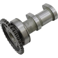 Hot Cams Stage 1 Intake Camshaft | 2041-1IN