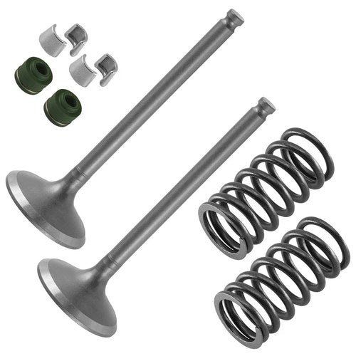 2x Exhaust Valve Kit for Yamaha WR450F 2003 2004 2005 2006 / 5TA-12121-00-00