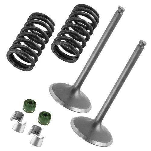 2x Intake Valve Kit for Yamaha 1SL-12111-00-00 33D-12113-00-00 51Y-12119-00-00