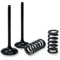 Prox Valve and Spring Kit | 28.SES2440-1
