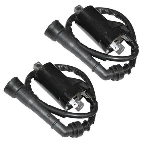 2 Ignition Coils for United Motors V2C 650S 650T Cruiser / V2S 650R 650S Sport