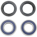 All Balls Wheel Bearing Kit - Double Seal - Front/Rear | 25-1273-A