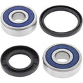 All Balls Wheel Bearing Kit - Double Seal - Front | 25-1334