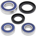 All Balls Wheel Bearing Kit - Double Seal - Rear | 25-1449