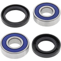 All Balls Wheel Bearing Kit - Double Seal - Front | 25-1218