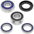 All Balls Wheel Bearing Kit - Double Seal - Rear | 25-1383
