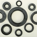 Vertex Oil Seal Set | 822109