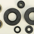 Vertex Oil Seal Set | 822135