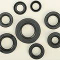 Vertex Oil Seal Set | 822181