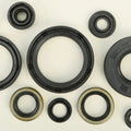 Vertex Oil Seal Set | 822183