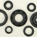 Vertex Oil Seal Set | 822173