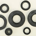 Vertex Oil Seal Set | 822291