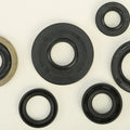 Vertex Oil Seal Set | 822307