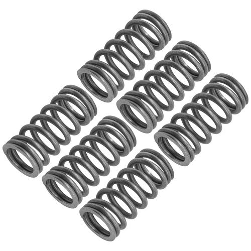 Clutch Spring for Kawasaki Ninja H2R ZX1000 2015-2023 92145-1662 921451662 6x