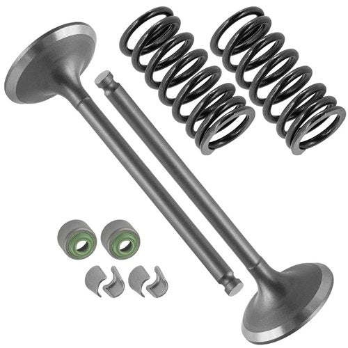 2x Intake Valve Kit for Yamaha WR450F 2003 2004 2005 2006 / 5TA-12112-00-00