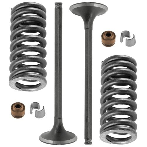 Caltric 14721-KSE-670 14761-KSE-670 12208-ML0-721 Exhaust Valve Kit For Honda