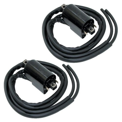 Set of 2 Ignition Coil for Suzuki GSX600F GSX600 F Katana 600 1988 1989-2006