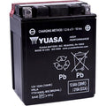 Yuasa Fresh Pack High Performance Maintenance-Free Agm Battery (YTX14AHL-BS)