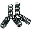 Pro Circuit Clutch Spring Set | CSK09085