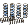 Pro Circuit Clutch Spring Set | CSY19250-CS