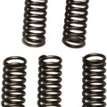Ebc Csk Clutch Spring Set (CSK97)