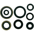 Moose Racing Engine Oil Seal Kit (M822125)