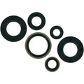 Moose Racing Engine Oil Seal Kit (0934-0164)