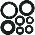 Moose Racing Engine Oil Seal Kit (0934-0172)