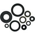 Moose Racing Engine Oil Seal Kit (0934-0162)