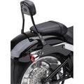 Cobra Detachable Backrest Kit - 14" - Softail (Black) Standard | 602-2007B