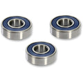 Moose Racing Wheel Bearing Kit - Double Lip - Front - Cobra | 25-1371