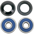 Moose Racing Wheel Bearing Kit - Double Lip | 25-1072