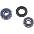 Moose Racing Wheel Bearing Kit - Double Lip | 25-1191