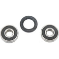 Pivot Works Wheel Bearing and Seal Kit - Double Seal - Front | PWFWK-H19-001