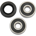 Pivot Works Wheel Bearing and Seal Kit - Double Seal - Rear | PWRWK-Y29-001