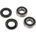 Pivot Works Wheel Bearing and Seal Kit - Double Seal - Front | PWFWS-H07-000