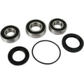 Pivot Works Wheel Bearing and Seal Kit - Double Seal - Rear | PWRWS-K14-000