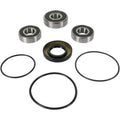 Pivot Works Wheel Bearing and Seal Kit - Double Seal - Rear | PWRWS-Y11-000