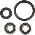 Pivot Works Wheel Bearing and Seal Kit - Double Seal - Front | PWFWK-K06-020